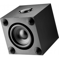 FOCAL  Cub Evo